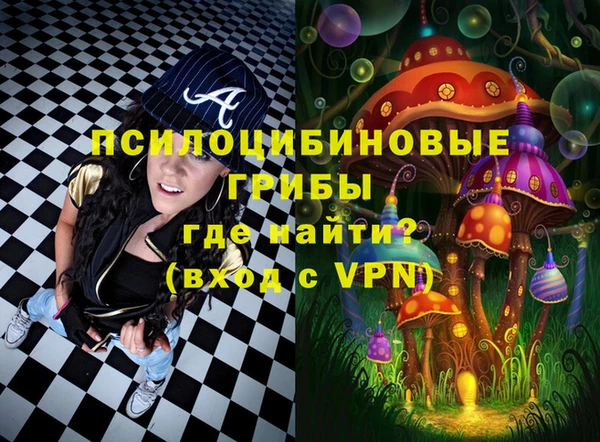 бошки Арсеньев
